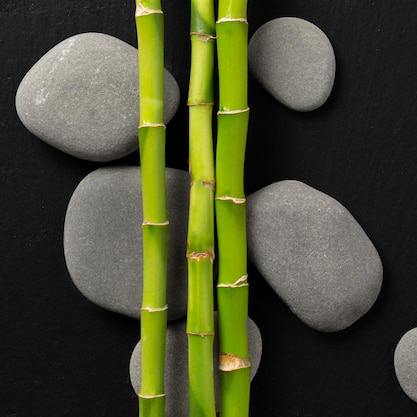 Masaż Bamboo-Cho 10